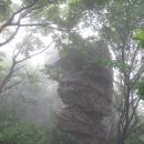 김승재농장 | 금북정맥12구간