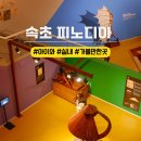 피노디아 아트홀 500 이미지