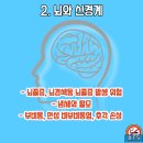 너담 이미지
