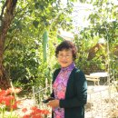 신풍마을회관 이미지