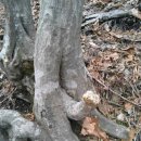 편안한민박 이미지