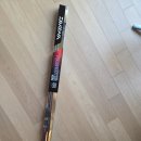 황금좌대 | 다이와 프로슈터 SR 802M 솔직 후기! 인쇼어부터 선상 좌대까지 끝판왕 바다 루어대 (ft. 국민 낚시대...