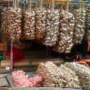 위경화농장 이미지