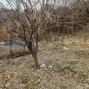 동학농장 이미지