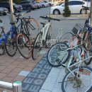 화정글샘도서관 이미지