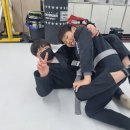 합기도 주짓수 블루드래곤 이미지