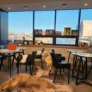 모찌네호캉스 이미지