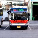 버스정류소_L마트 이미지