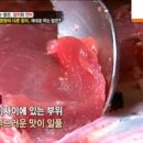 참치랑연어 이미지