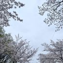 봄봄카페 3공단점 네이버블로그