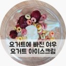 스키니폭스요거트에빠진여우 | 부천 신중동 카페 스키니폭스 요거트에 빠진 여우 배달 이용 후기