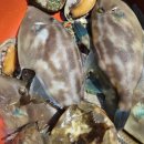 이수도 1박3식 예쁜민박 이미지