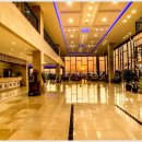 호텔펄리플러스 이미지