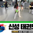 캐슬 태권도 체육관 이미지