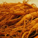 농협홍삼개성 이미지