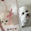 프레젠독(present dog) 이미지