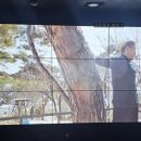 해운그림마당 정기 전시회 | 남원 실내 아이랑 가볼만한곳 '남원시립김병종미술관' / 남원 실내 무료 여행 추천