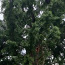 임주현농장 | 로컬이터3회차(버섯키우기)