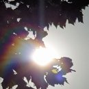 해를 담다 이미지