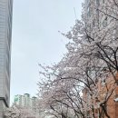 보평중학교 내 이미지