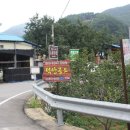 사리농장 이미지