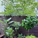 멍멍테라스 이미지