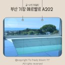 부산 기장 메르벨르풀빌라 A202호 후기｜실내 자쿠지 온수 무료, 온수 수영장, 바비큐 아이들과 최고의...