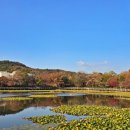 문화산책코스 이미지