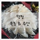 독바위로 | 덕정 속초회수산 맛집 추천｜내돈내산 농어회와 매운탕 솔직 후기 (ft. 윤남노 초밥)