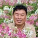 선달산민박 이미지