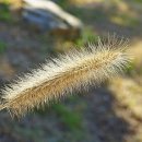 부천시청 주변 이미지