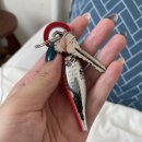 고내리 (애월고등학교방면) | 제주도 여행 Day1-2 | 애월 “물고기자리 게스트하우스” 트윈룸 후기 | 조용한 애월 게하 추천!