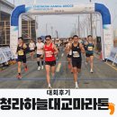 주차10 | 2026 청라 하늘대교 마라톤 10k 뛰고 왔습니다! 주차, 코스, 후기