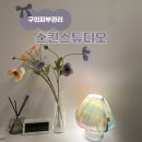 피부상담 - 금정구 수림로 61 | 구의역피부관리 '스킨스튜디오' 건대피부관리 맞춤 피부상담 진정유도케어 후기