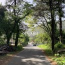 응암2리_마을회관 이미지