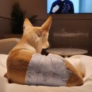 군파크호텔 이미지