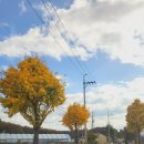 별보는 마을 이미지