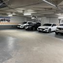 뉴스타휘트니스 이미지