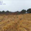 대행목장 이미지