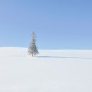 최성훈농장 이미지