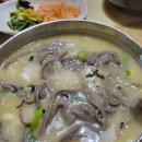 신중동 부천시청역 부모님이랑 가기 좋은 맛집 &#34;봉평옹심이메밀칼국수&#34; 내돈내산 후기