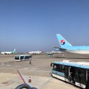 해성돈가 | 221107-221109 제주도 다녀온 주간일기