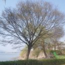 엄마라는이름으로 이미지