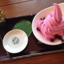 미술관카페도담
