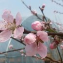 반석농장2 이미지