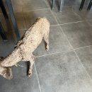 시흥대로124길 이미지