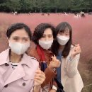 투썸플레이스올림픽공원역점 이미지