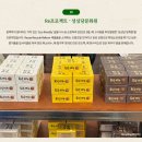 성심유치원 | [브랜드 소리] 8. 대전광역시의 또 다른 이름은 성심광역시라면서요?