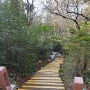 고근산 | 놀면 뭐하니 오름, 서귀포 고근산 오름