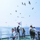 카페봄봄칠십리점 | 3월 제주도 가볼만한곳 힐링 만끽 (덤으로 사진찍기 좋은)